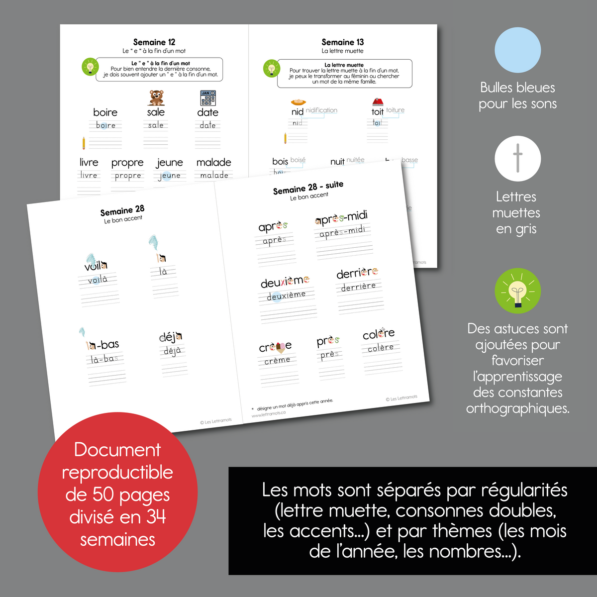 Carnet d'étude -  Deuxième année