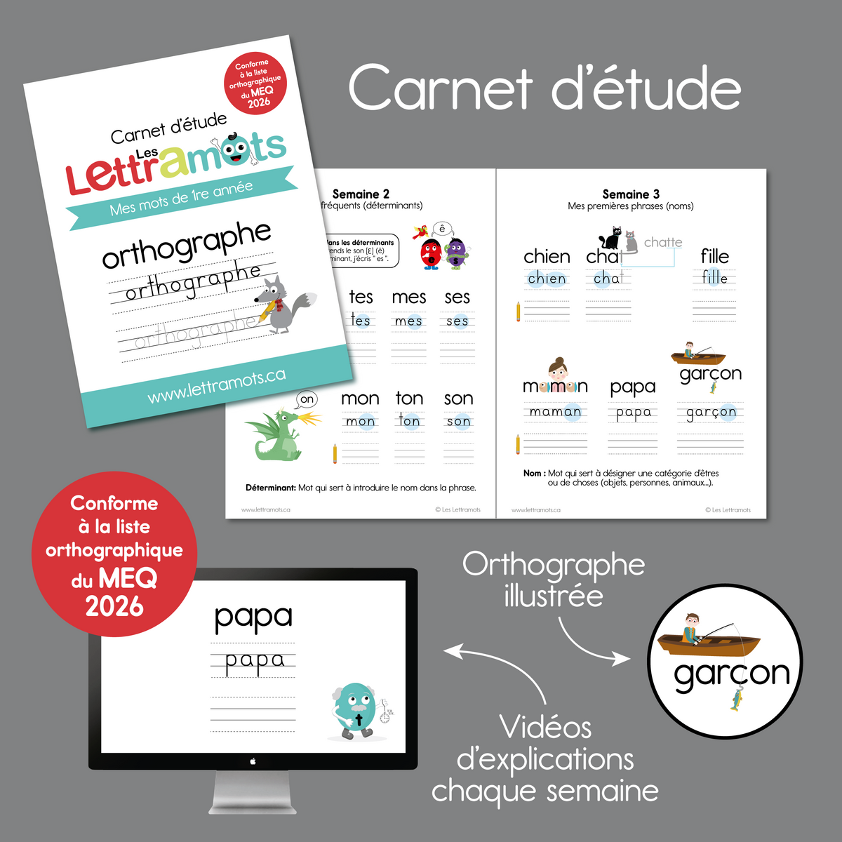 Carnet d'étude - Première année