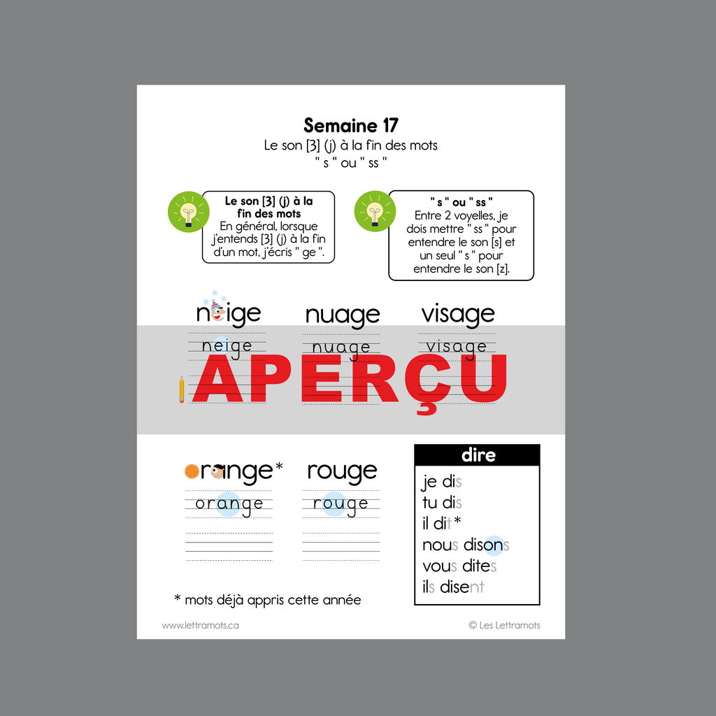 Carnet d'étude - Première année