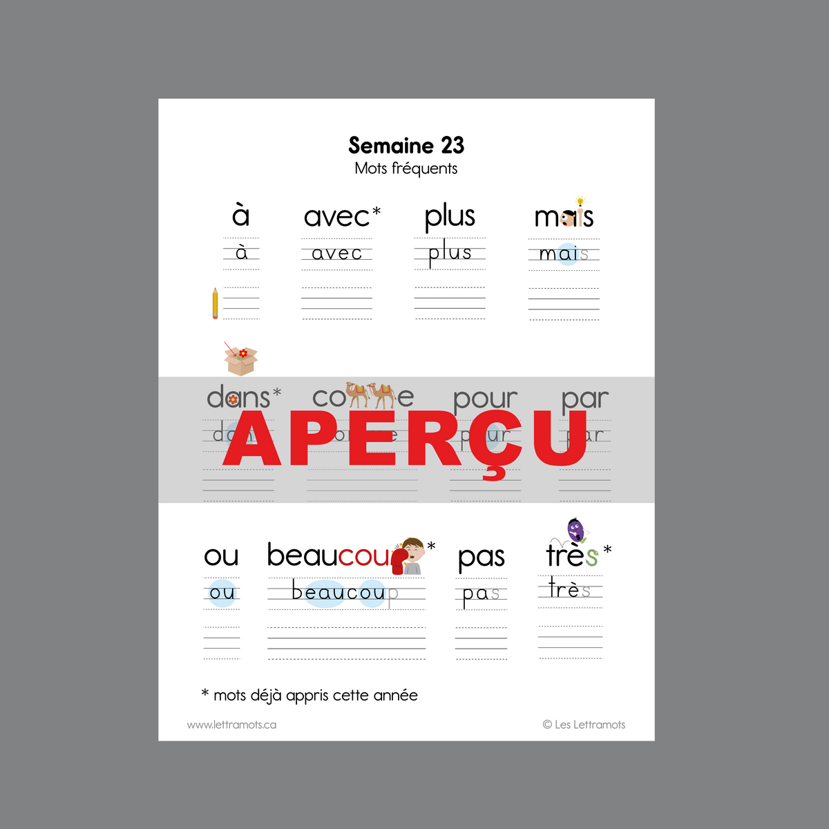 Carnet d'étude - Première année