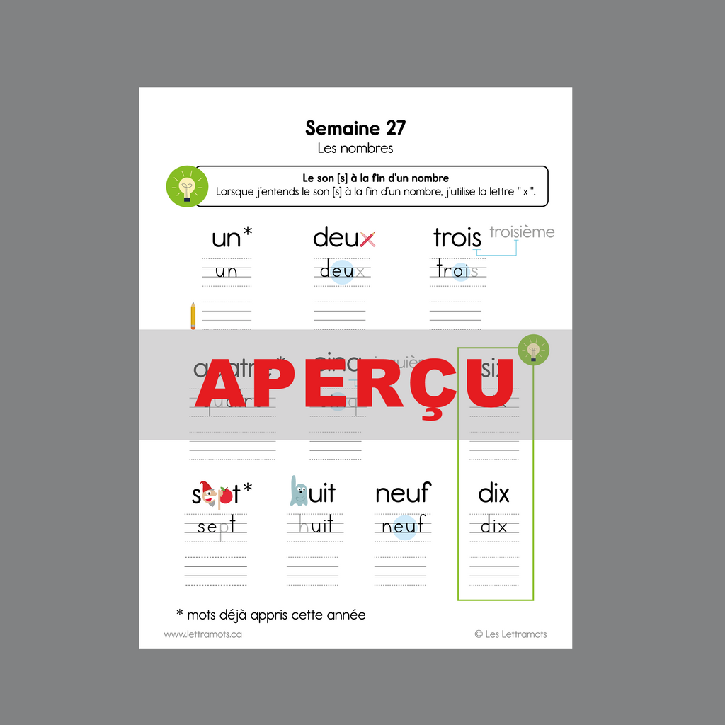 Carnet d'étude - Première année