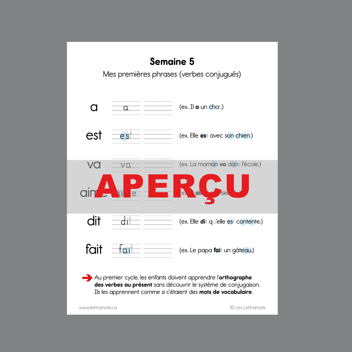 Carnet d'étude - Première année