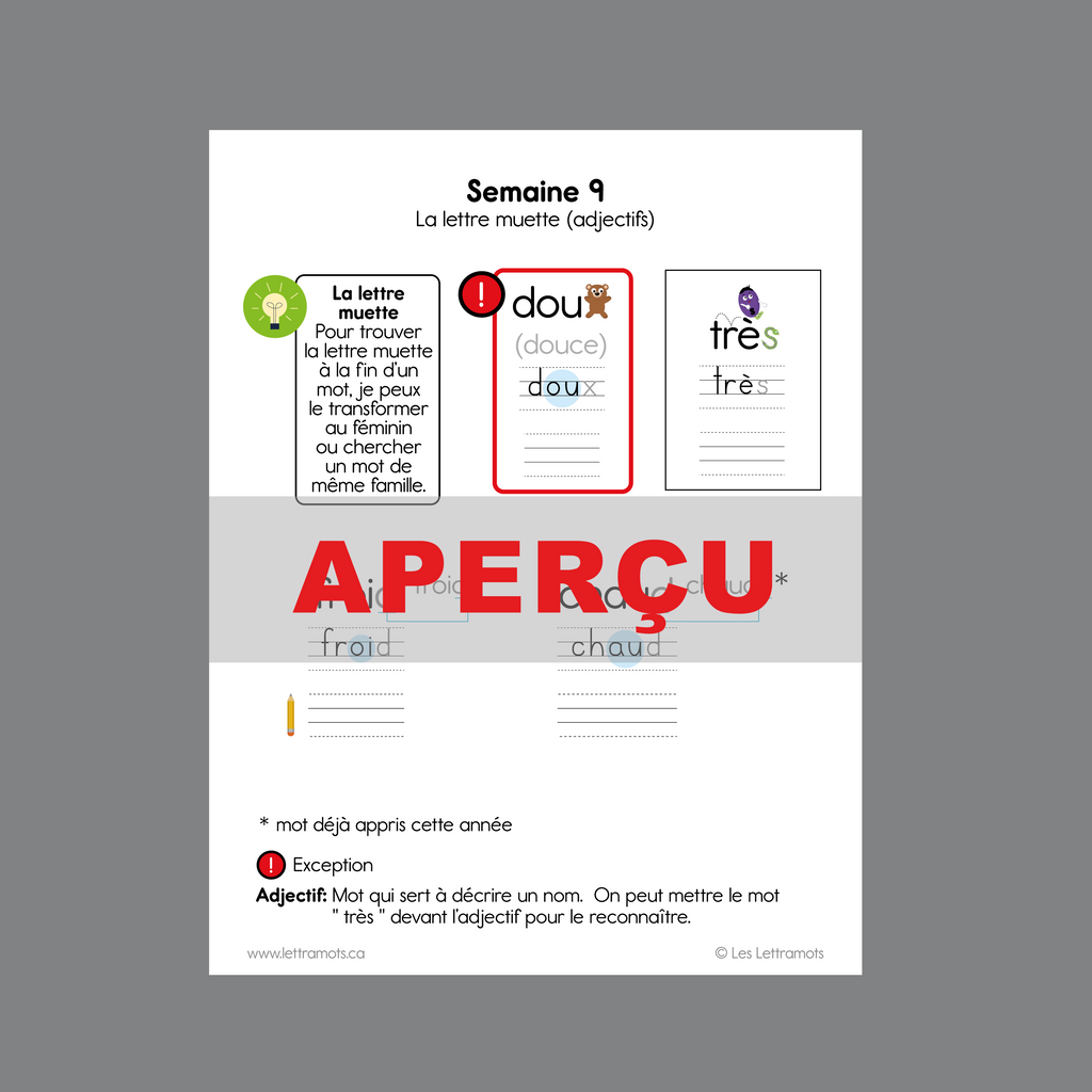 Carnet d'étude - Première année
