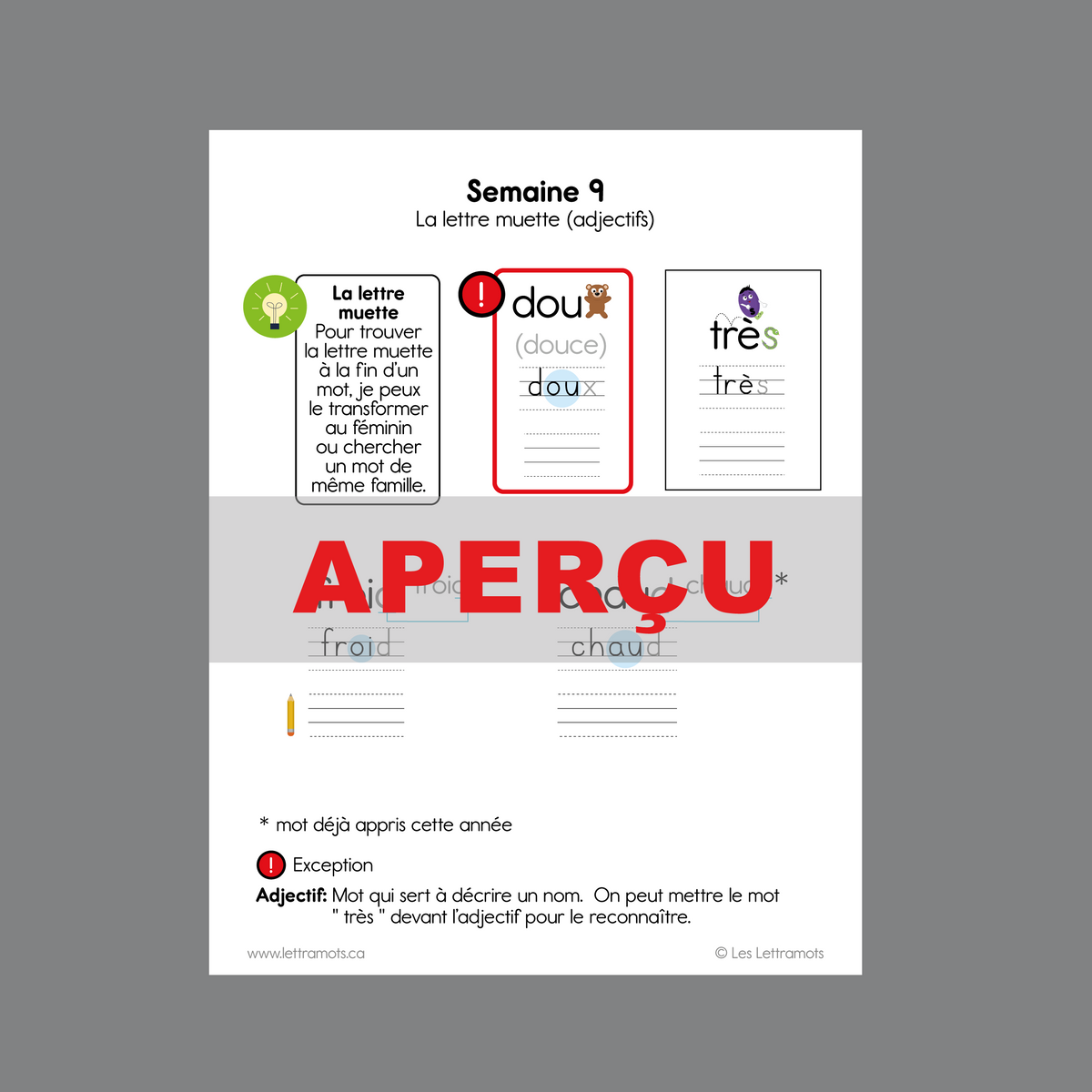 Carnet d'étude - Première année