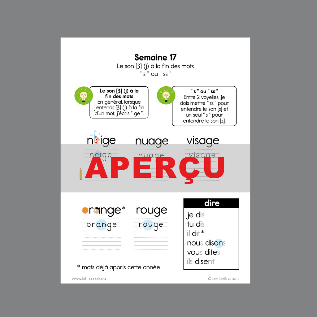 Carnet d'étude - Première année