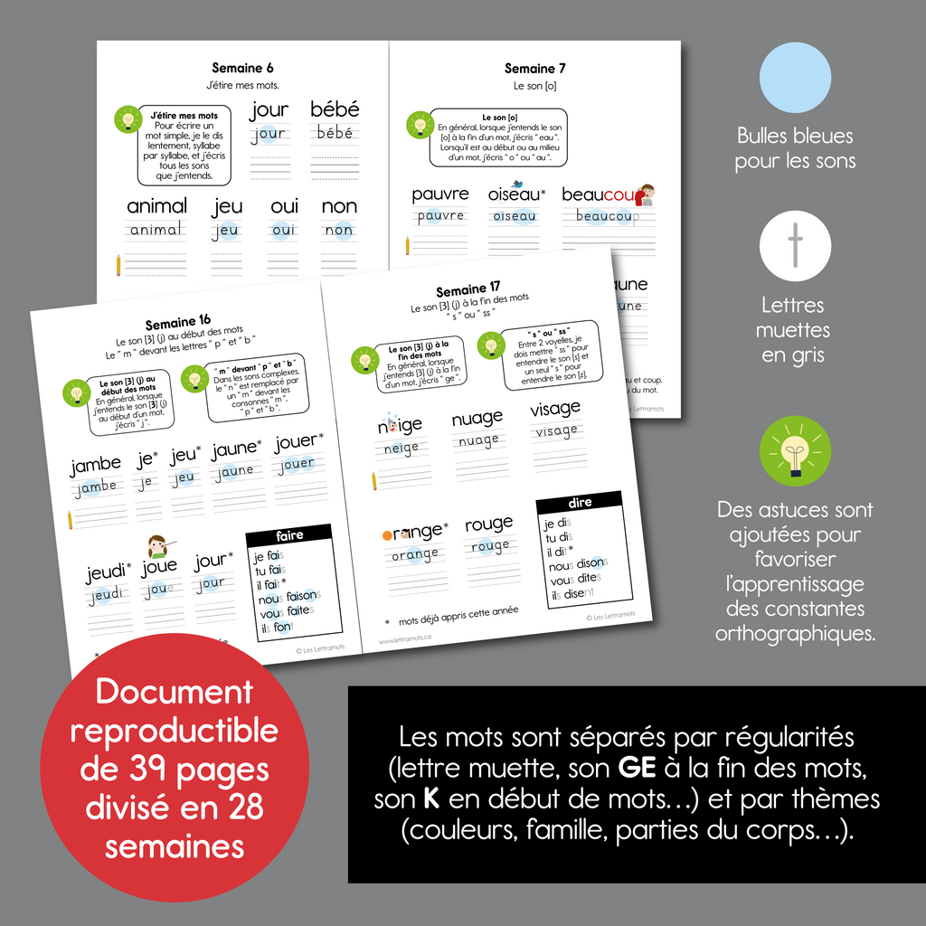 Carnet d'étude - Première année