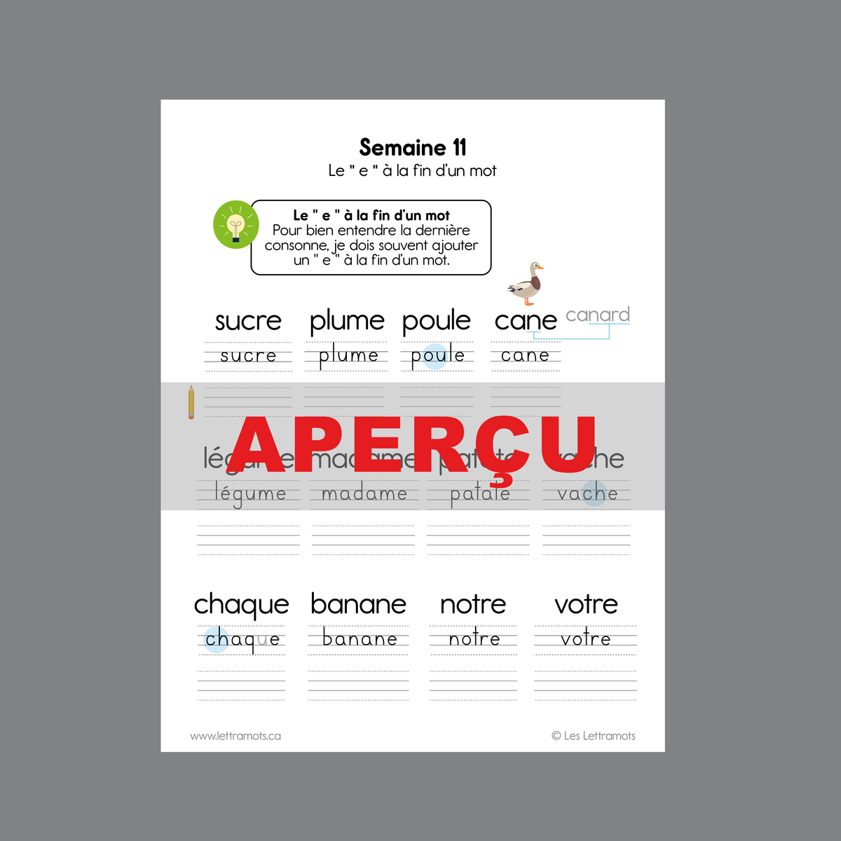 Carnet d'étude -  Deuxième année
